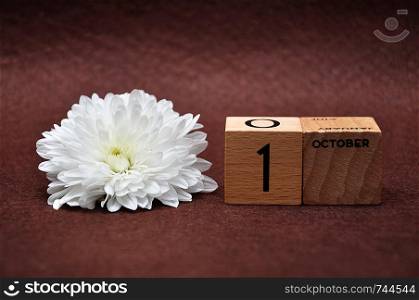 1 October on wooden blocks with a white aster on a brown background