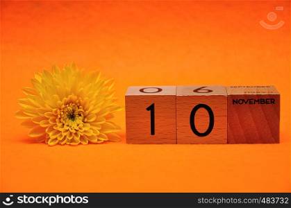 10 November on wooden blocks with a yellow daisy on an orange background