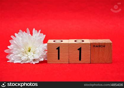 11 March on wooden blocks with a white daisy on a red background