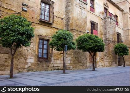 15th century Bishop&rsquo;s Palace (Spanish: Palacio Episcopal) historic facade on Calle de Torrijos street in the Old Town of Cordoba, Spain.