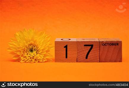 17 October on wooden blocks with a yellow daisy on an orange background