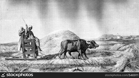 1861 Exhibition of Painting, Threshing wheat in Egypt, vintage engraved illustration. Magasin Pittoresque 1861.