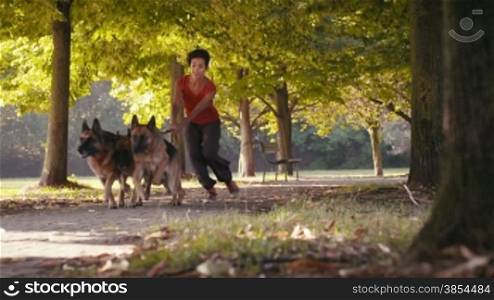 1of15 People working as dog sitter, young woman with german shepherd dogs in park. Dog walking