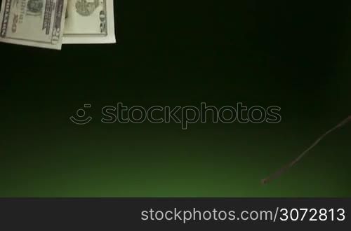 20 dollars bills falling on green background. Concept of lottery winnings, success, wealth, money, cash. Super slowmotion 240p