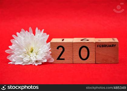 20 February on wooden blocks with a white daisy on a red background