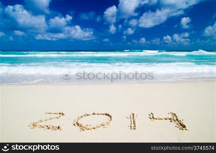 2014 year on the sand beach near the ocean