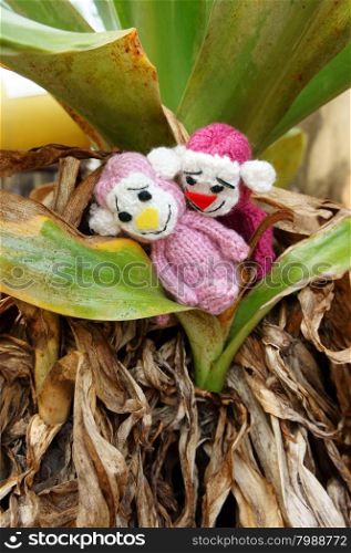 2016, year of monkey, symbol of intelligent, lucky, agile, group of handmade monkey at oudoor, knitted toy as stuffed animal make from yarn, hand made product on dark background