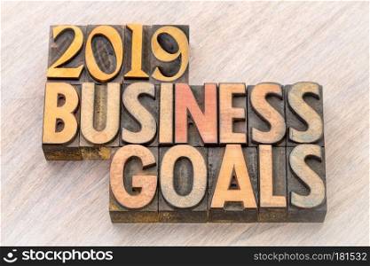 2019 business goals word abstract in vintage letterpress wood type