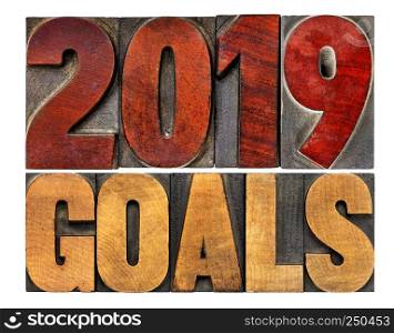 2019 goals banner - New Year resolution concept - isolated text in vintage letterpress wood type printing blocks