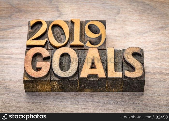 2019 goals banner - New Year resolution concept - text in vintage letterpress wood type printing blocks against grained wood