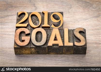 2019 goals banner - New Year resolution concept - text in vintage letterpress wood type printing blocks against grained wood