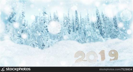 2020 New Year in snow design concept. Wooden 2020 New Year horizontal template with blue and white bokeh background and fir forest. 2019 New Year in snow