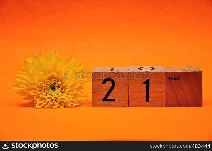 21 May on wooden blocks with a yellow daisy on an orange background