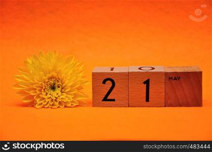 21 May on wooden blocks with a yellow daisy on an orange background