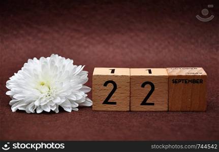 22 September on wooden blocks with a white aster on a brown background