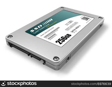 256GB solid state drive (SSD)