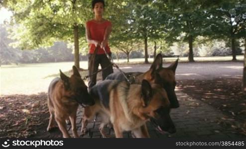 2of15 People at work as dog sitter, girl with german shepherd dogs in park