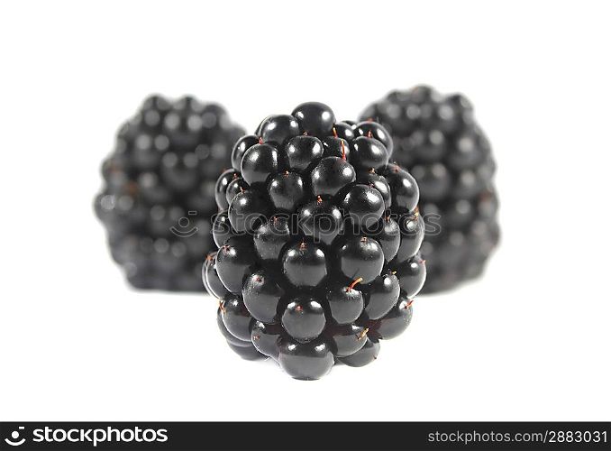 3 blackberries isolated on a white background