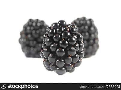 3 blackberries isolated on a white background
