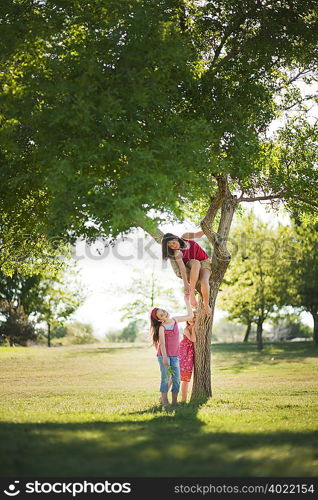 3 young girls playing under tree