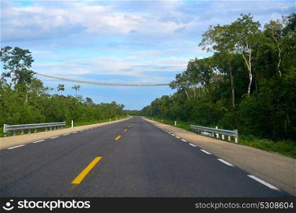 305D road near Playa del Carmen Mexico crossing Jungle to El Tintal in Quintana roo