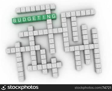 3d Budgeting Concept word cloud