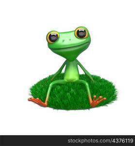 3D Illustration of a Frog on a Green Lawn on a White Background