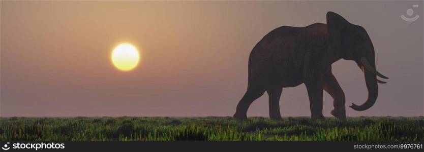 3D illustration of an elephant and sunset