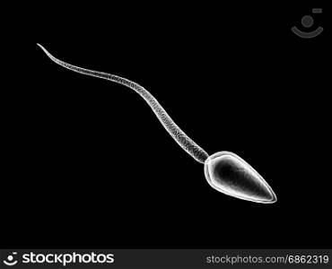 3d illustration of single sperm cell isolated over black background