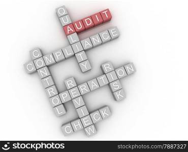 3d image Audit issues concept word cloud background