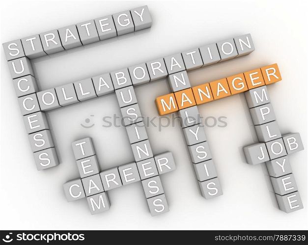 3d image Manager issues concept word cloud background