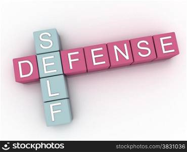 3d image Self Defense issues concept word cloud background