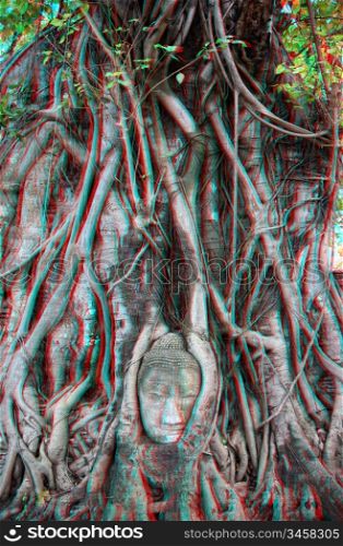 3D photo Head of Sandstone Buddha in The Tree Roots at Wat Mahathat, Ayutthaya, Thailand (To view this image you need anaglyph stereo glasses.)