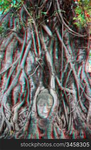 3D photo Head of Sandstone Buddha in The Tree Roots at Wat Mahathat, Ayutthaya, Thailand (To view this image you need anaglyph stereo glasses.)