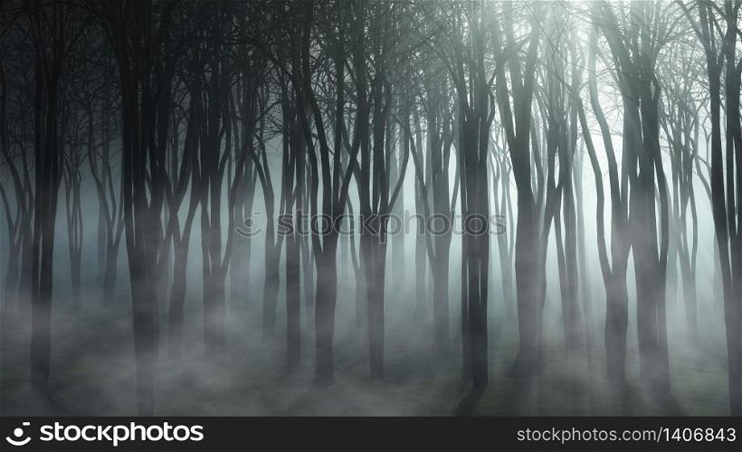 3D render of a foggy forest landscape