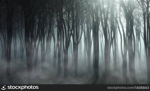 3D render of a foggy forest landscape