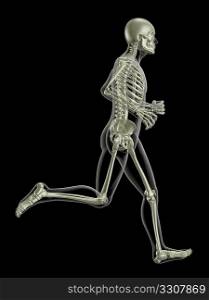 3D render of a medical skeleton in a running pose