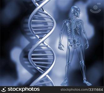 3D render of a medical skeleton stood next to DNA strands