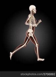 3D render of a running female medical skeleton