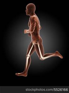 3D render of a running male medical skeleton