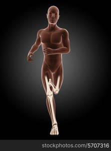 3D render of a running male medical skeleton