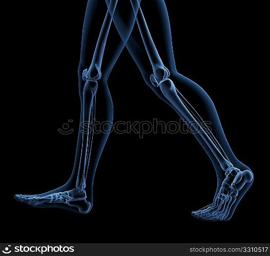 3D render of a skeleton close up of legs walking