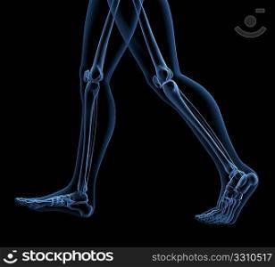 3D render of a skeleton close up of legs walking