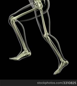 3D render of a skeleton close up with one leg raised