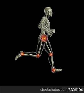 3D render of a skeleton running with leg joints highlighted
