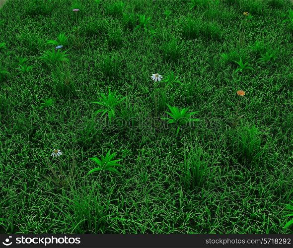 3d render of a spring grass and flowers background