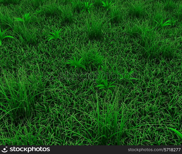 3d render of a spring grass background