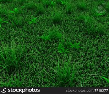3d render of a spring grass background