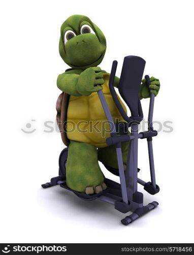 3D Render of a Tortoise with a cross trainer