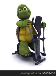 3D Render of a Tortoise with a cross trainer